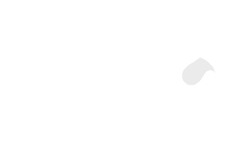 Capgeminin White Logo-min